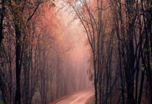 在天涯社区一路同行，品味右岸文字的温暖记忆