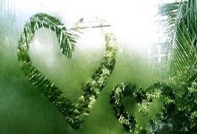 在天涯社区一路同行，品味右岸文字的温暖记忆