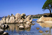 在天涯社区一路同行，品味右岸文字的温暖记忆